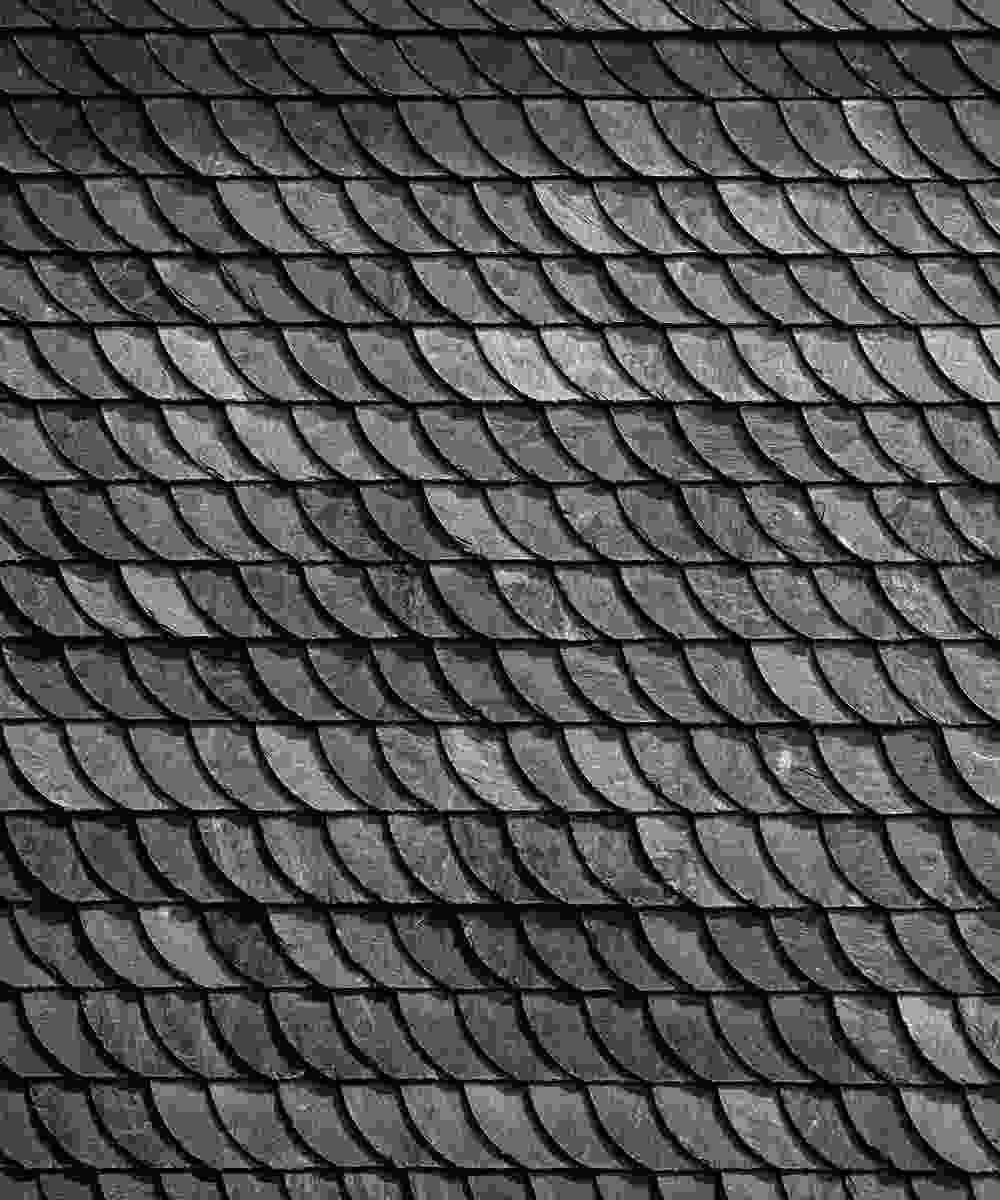 Shop Primary Image Shop Primary Image