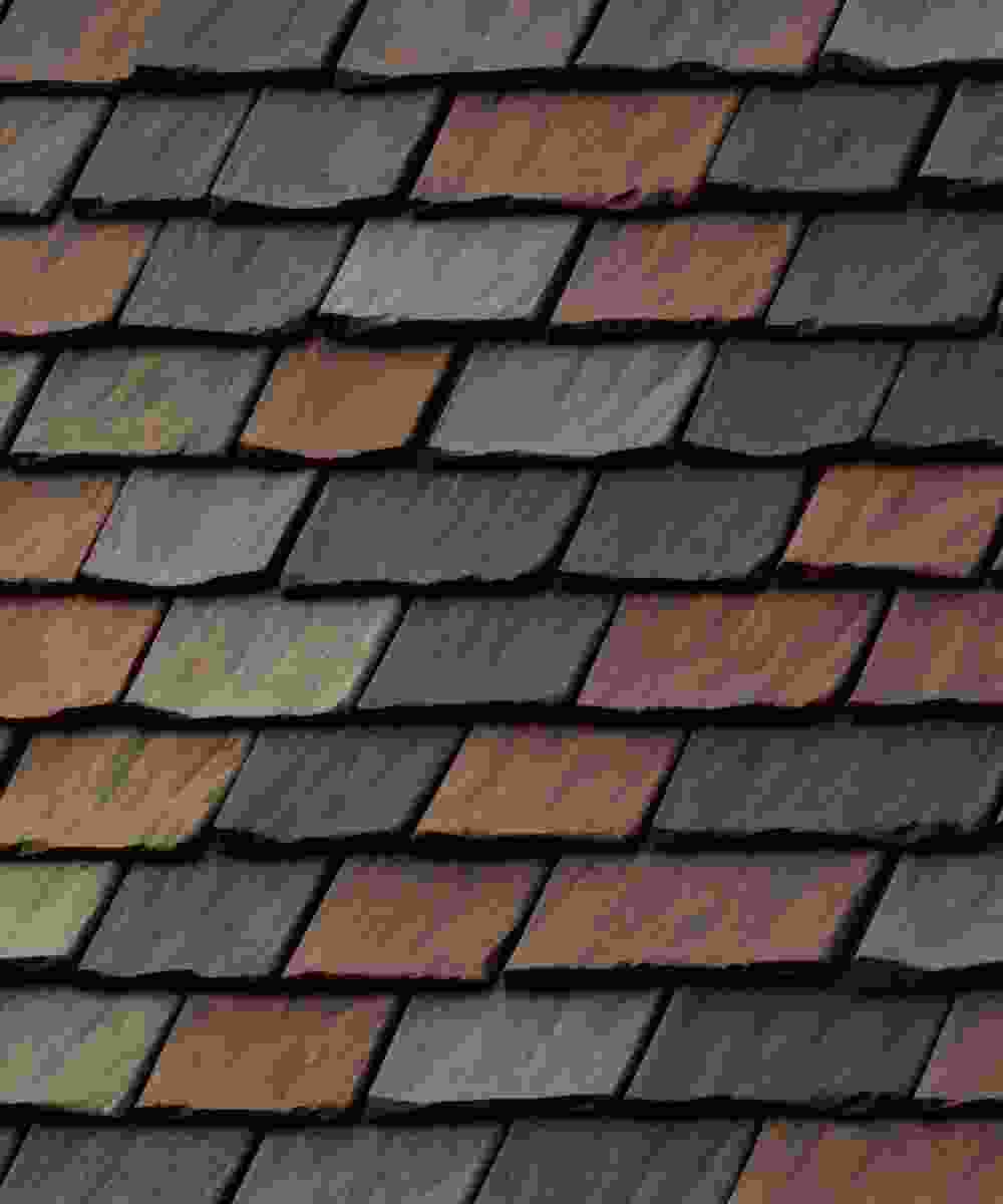 Shop Primary Image Shop Primary Image