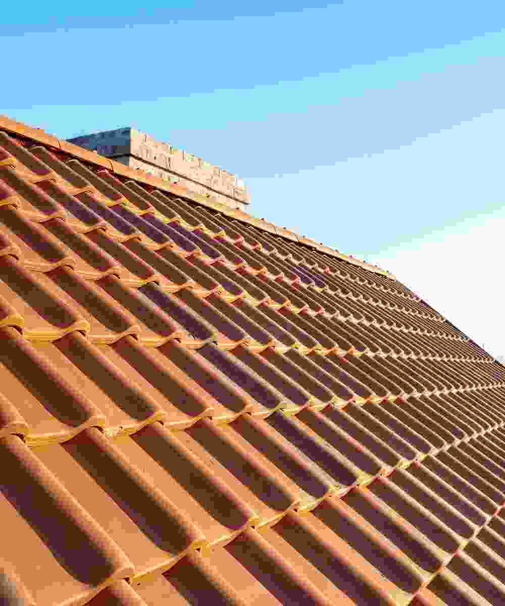 Shop Primary Image Shop Primary Image