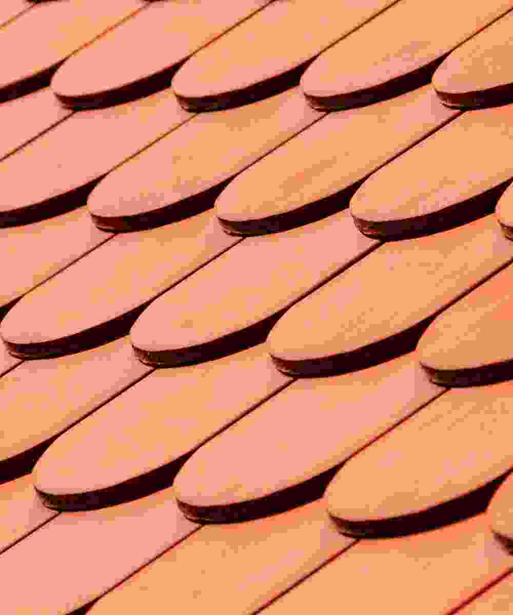 Shop Primary Image Shop Primary Image